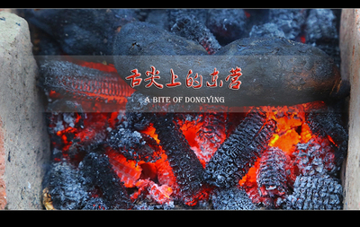 映像-东营网络电视台